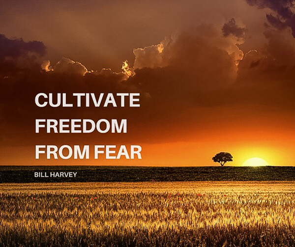 Cultivate Freedom from Fear