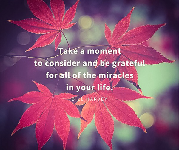 Be grateful for all the miracles in your life.