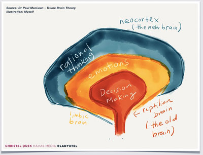 Paul  D. MacLean's illustration of the reptilian brain
