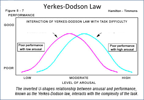 he inverted U-shapes relationship between arousal and performance,  known as the Yerkes-Dodson law, interacts with the complexity of the task.