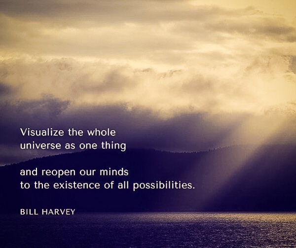 Visualize the whole universe as one thing