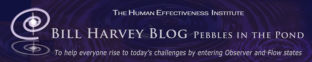 The Human Effectiveness Institute