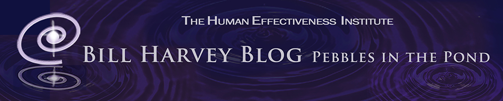 The Human Effectiveness Institute