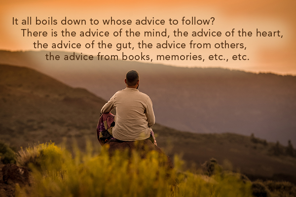 It all boils down to whose advice to follow?